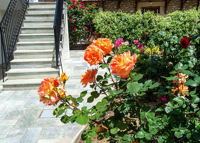 Ikies Zmas Апартаменты Хортон