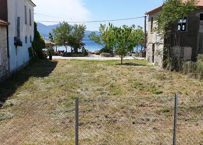 Ikies Zmas * Хортон